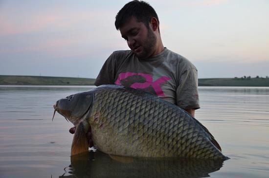 Nada pentru Delta Dunarii